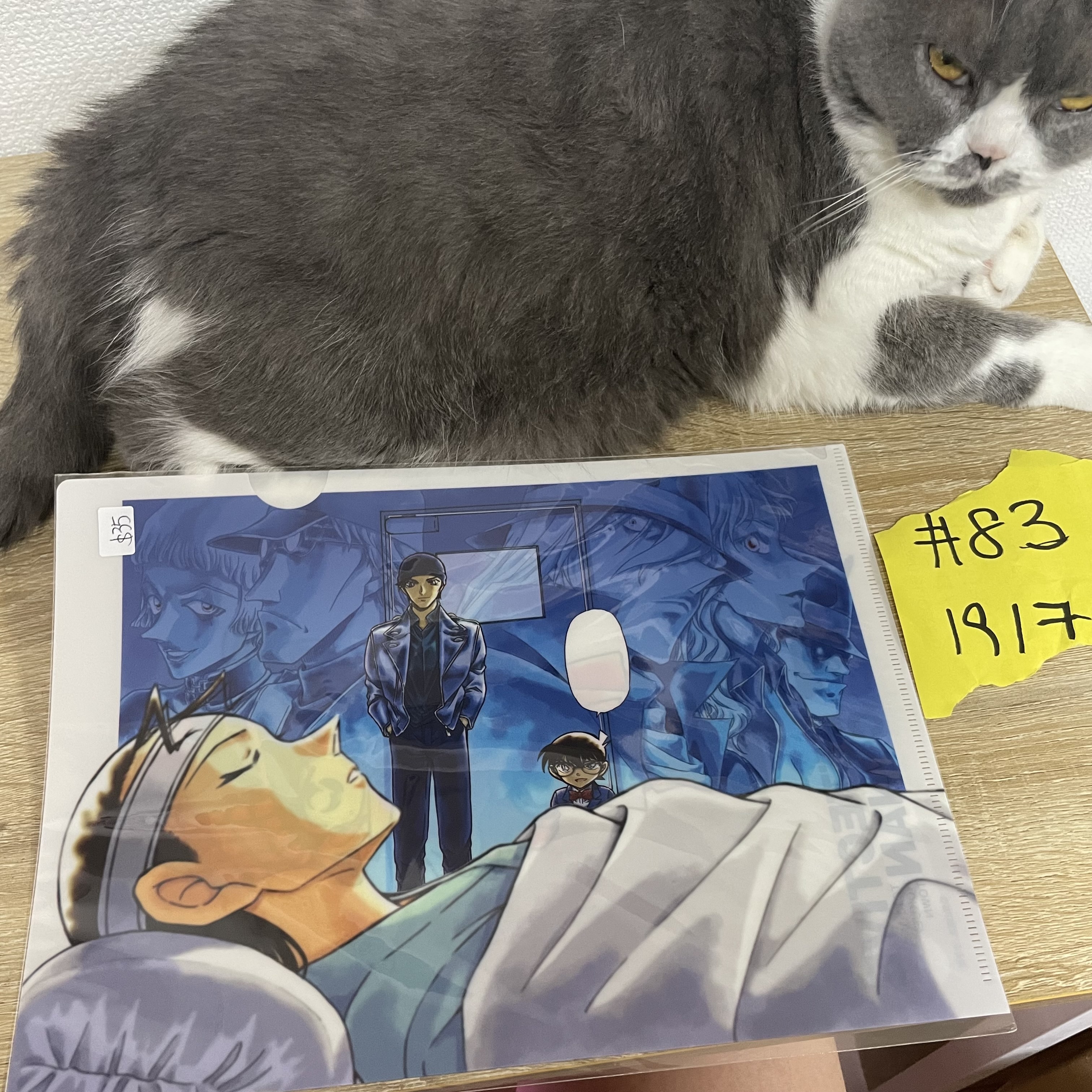 名偵探柯南 FILE#83
