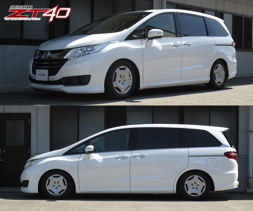 TANABE SUSTEC PRO ZT40