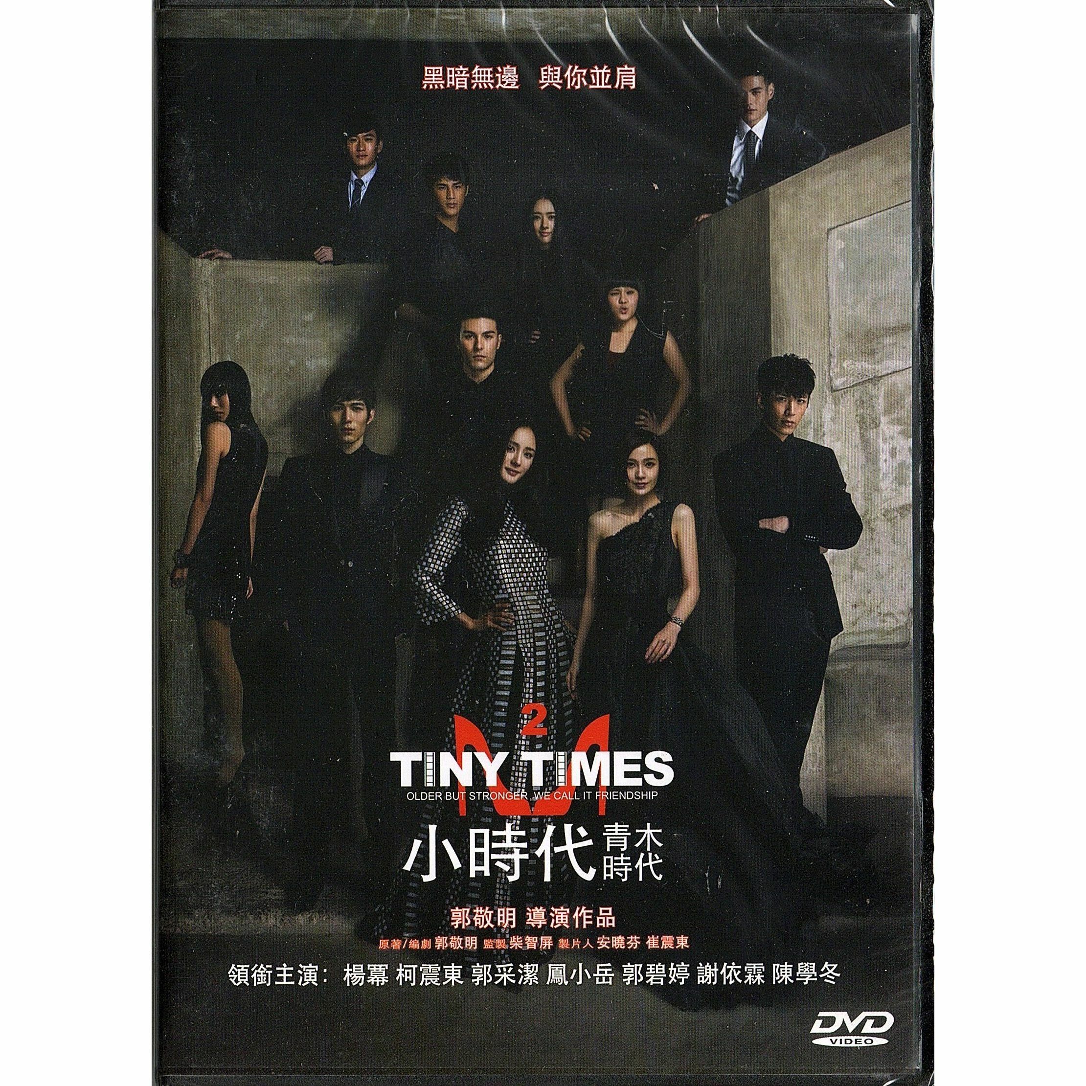 Tiny Times 2 (DVD)