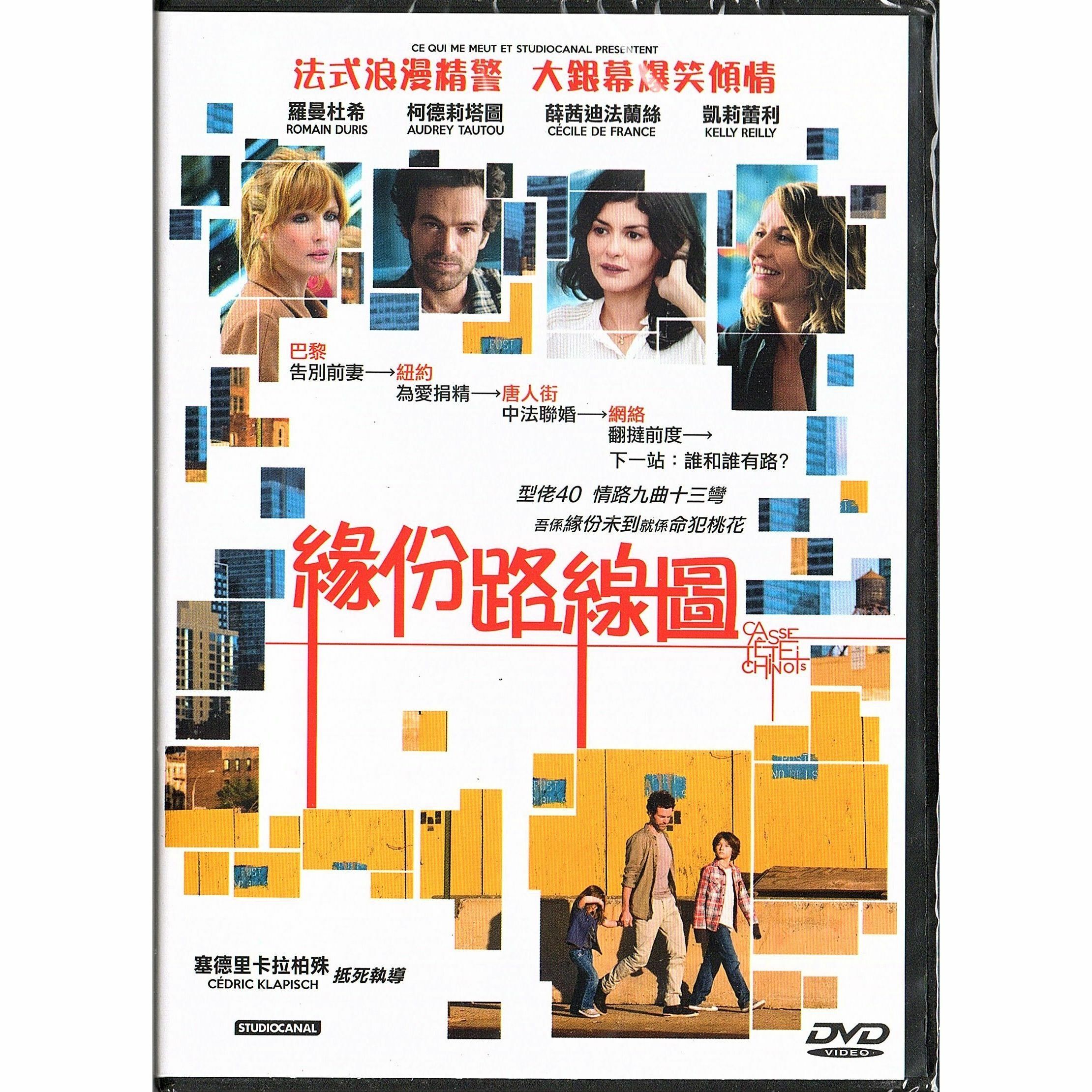 Chinese Puzzle (DVD)