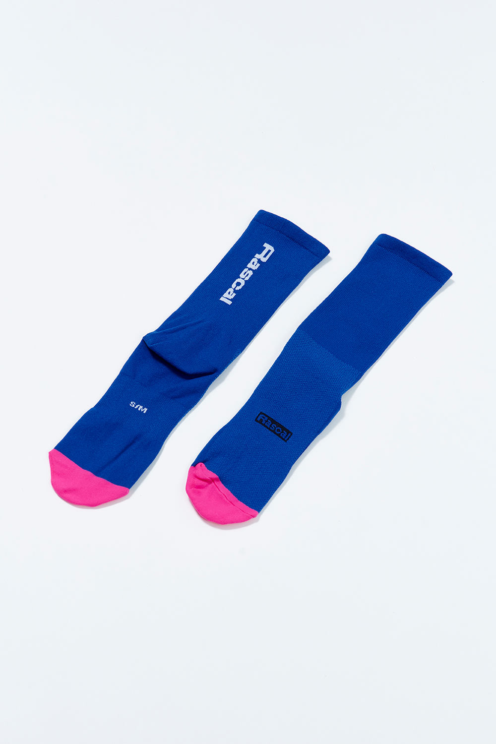 Rascal自行車襪(藍)