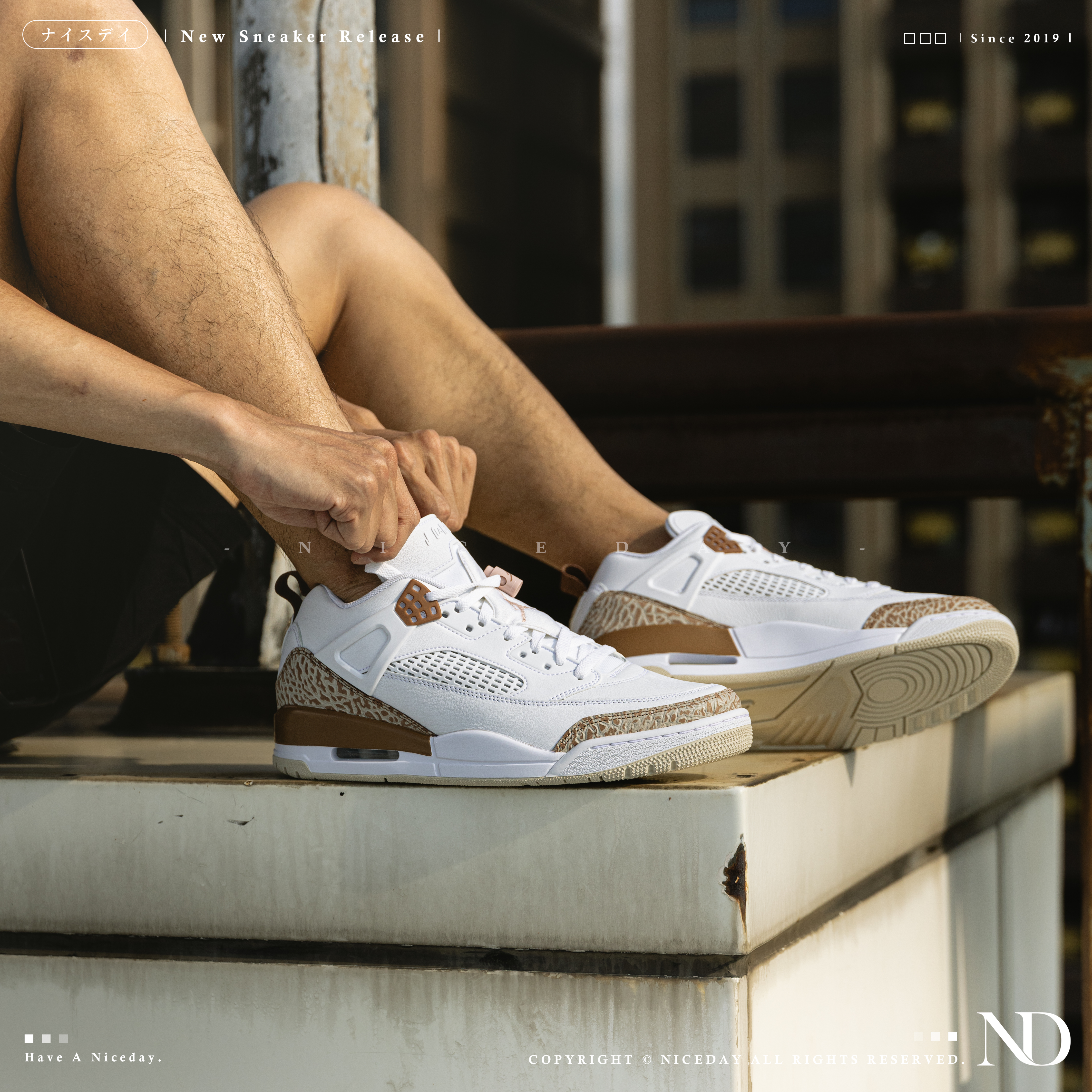 NICEDAY 現貨 Nike Jordan Spizike Low 爆裂紋 大地色 棕色 FQ1759-101