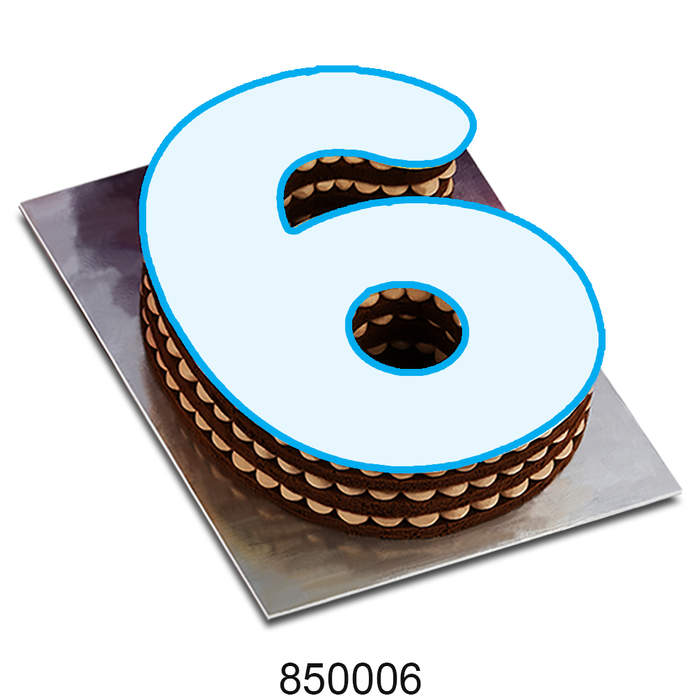 No. 6 Customized Edible Image Cake