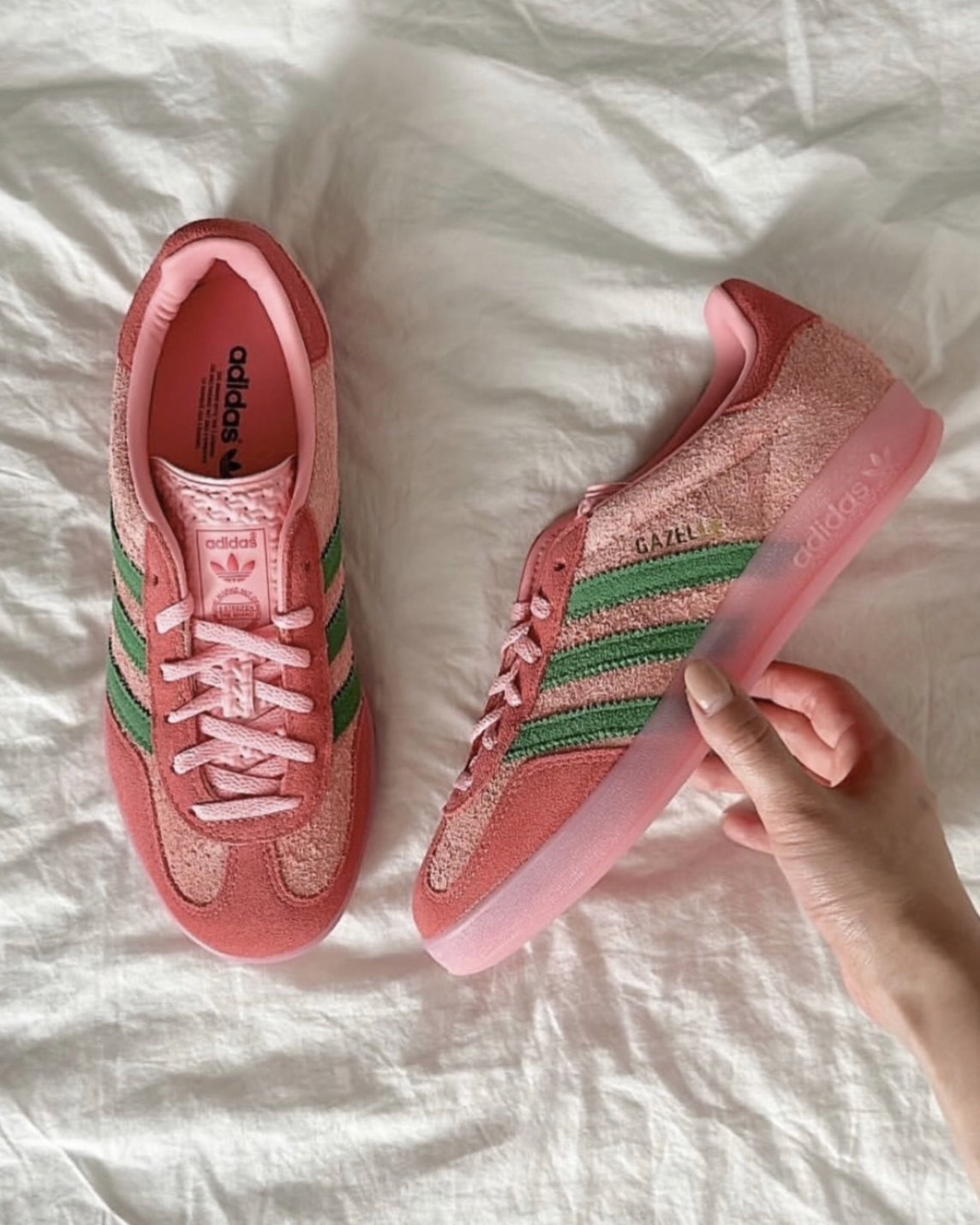 Adidas Originals Gazelle Indoor 莓果紅