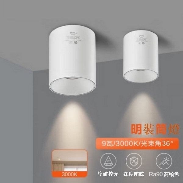 爆款吸頂式明裝玄關筒燈 【白色(9W 3000K)光束角/36°】