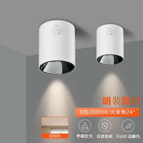爆款吸頂式明裝玄關筒燈 【鎳色(9W 3000K)光束角/24°】