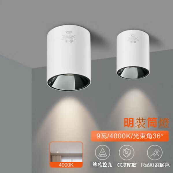 爆款吸頂式明裝玄關筒燈 【鎳色(9W 4000K)光束角/36°】
