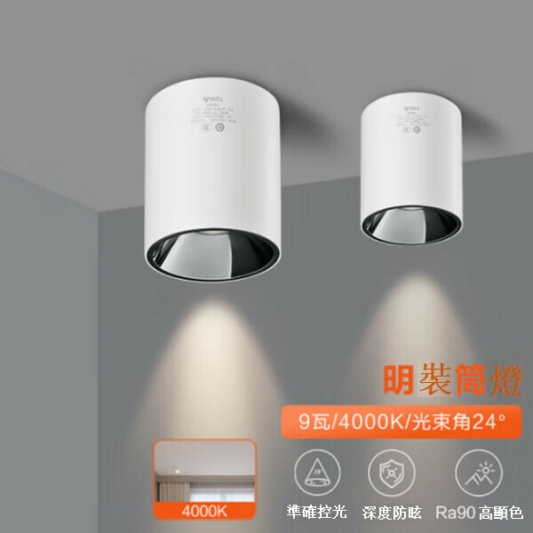 爆款吸頂式明裝玄關筒燈 【鎳色(9W 4000K)光束角/24°】