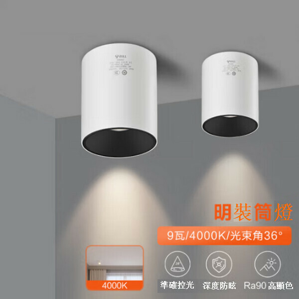 爆款吸頂式明裝玄關筒燈 【黑色(9W 4000K)光束角/36°】