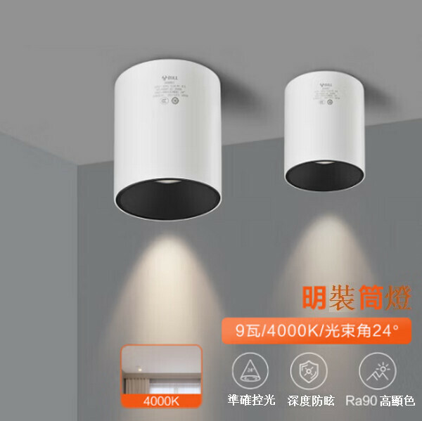 爆款吸頂式明裝玄關筒燈 【黑色(9W 4000K)光束角/24°】