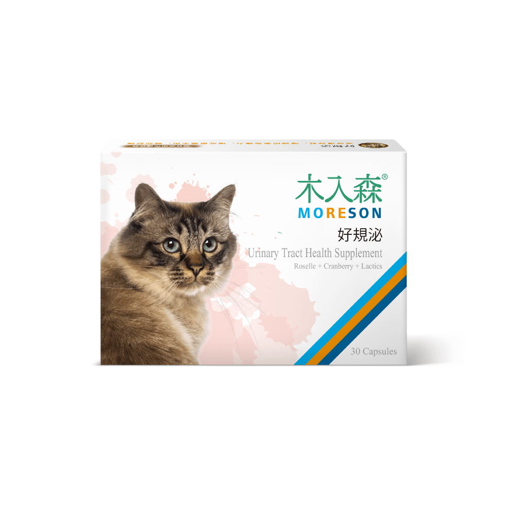 木入森 貓咪好規泌