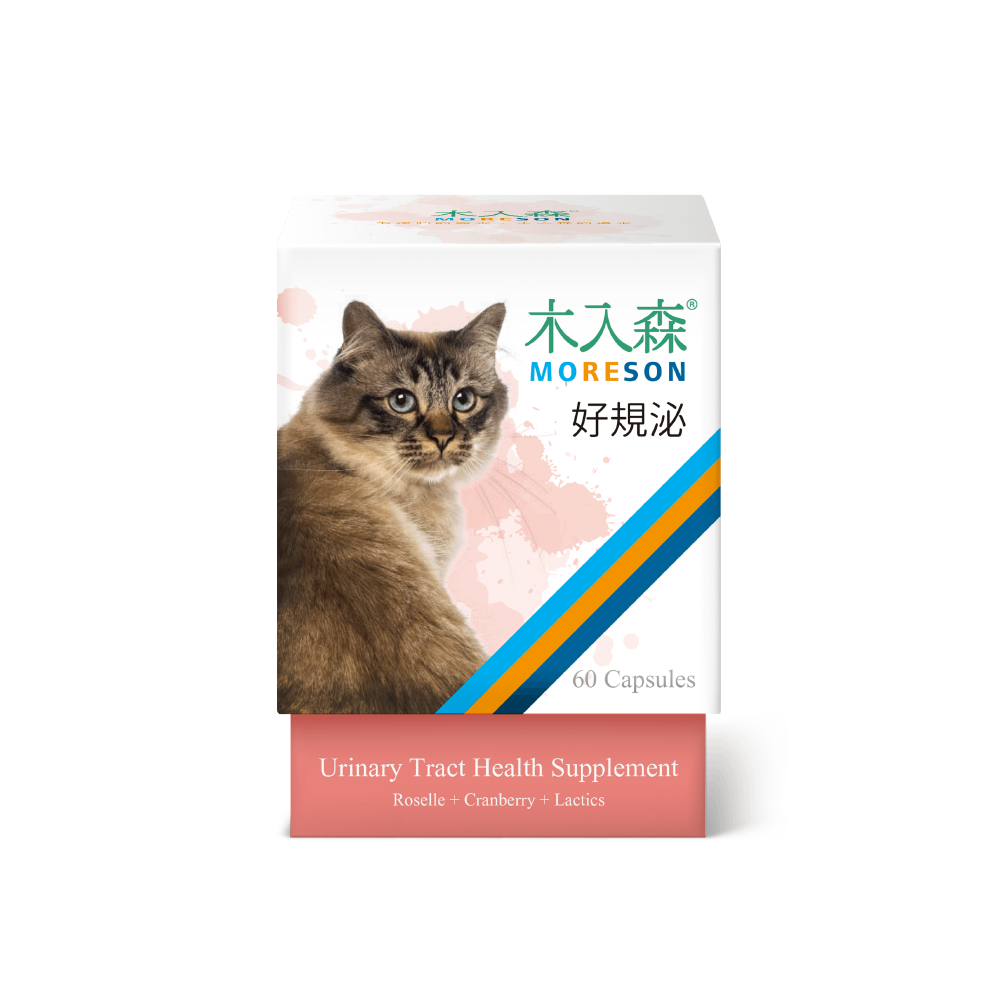 木入森 貓咪好規泌