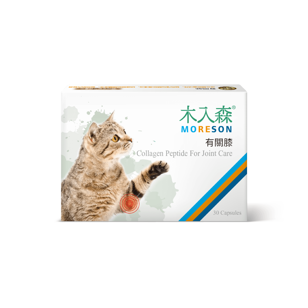 木入森 貓咪有關膝