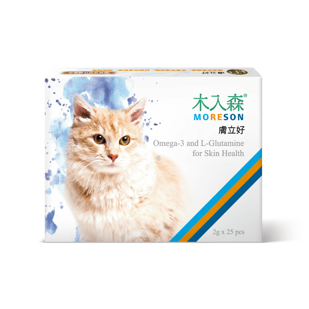 木入森 貓咪膚立好