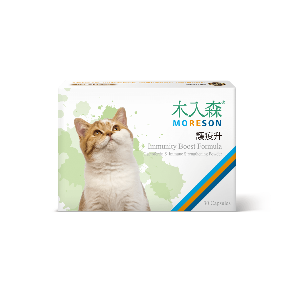 木入森 貓咪護疫升