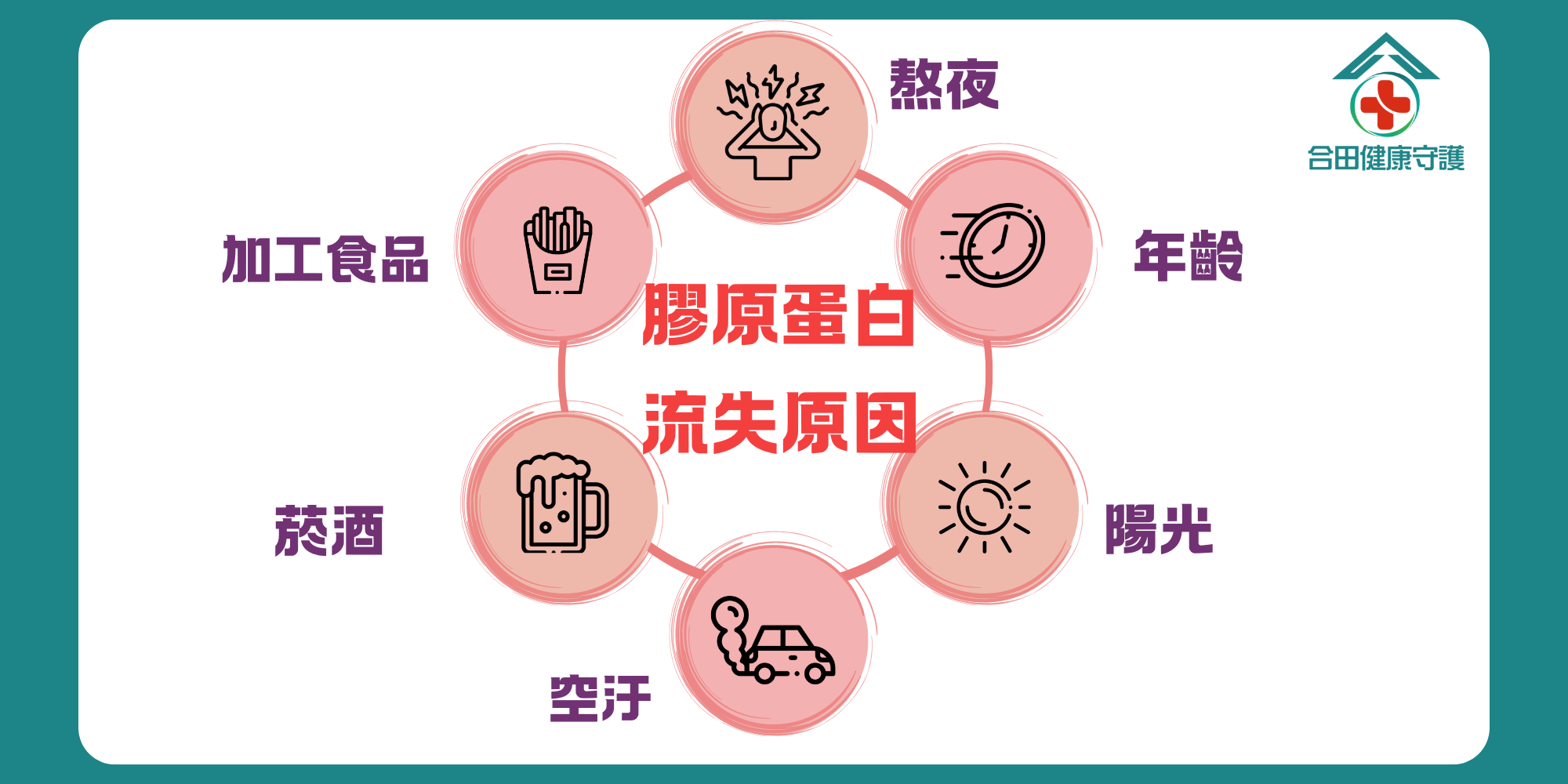 合田肽有力膠原蛋白