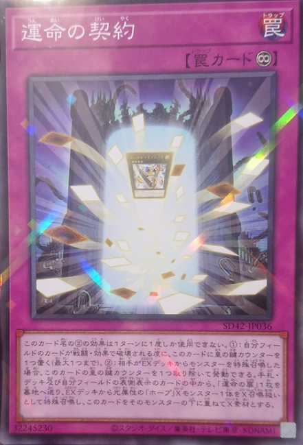 SD42-JP036  (NPR)運命の契約 (運命的契約)