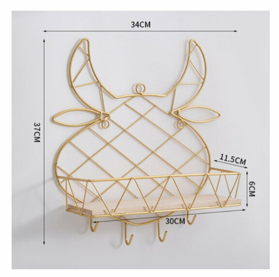 Hot-selling wall-mounted decorative storage rack [very cool with hook]