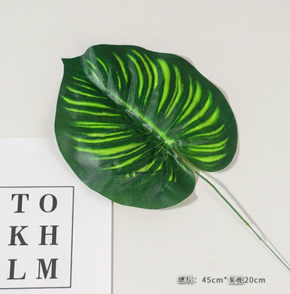 Popular decorative furnishings [watermelon leaves]
