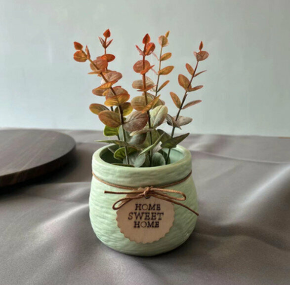Popular decorative furnishings [Eucalyptus-red (flower pot + flower)]