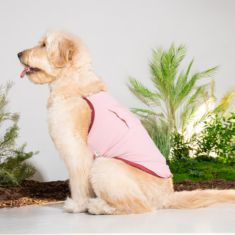 Puppy Gallery外出涼感衣(粉)