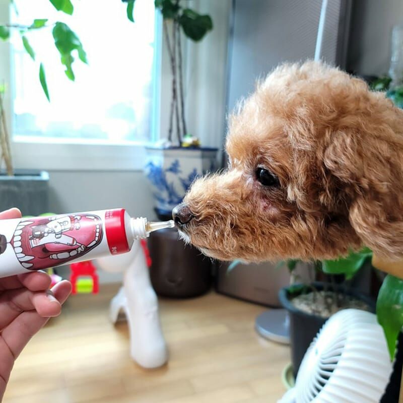 Dr. Petra 沛特拉醫生-狗狗專屬牙膏