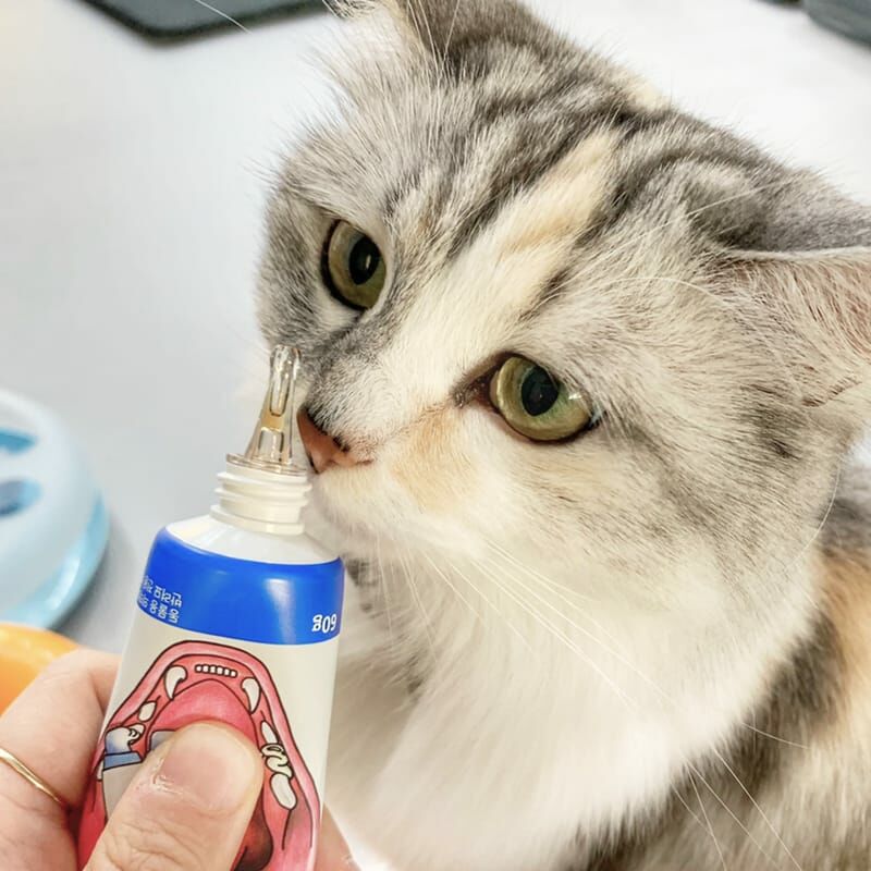 Dr. Petra 沛特拉醫生-貓咪專屬牙膏