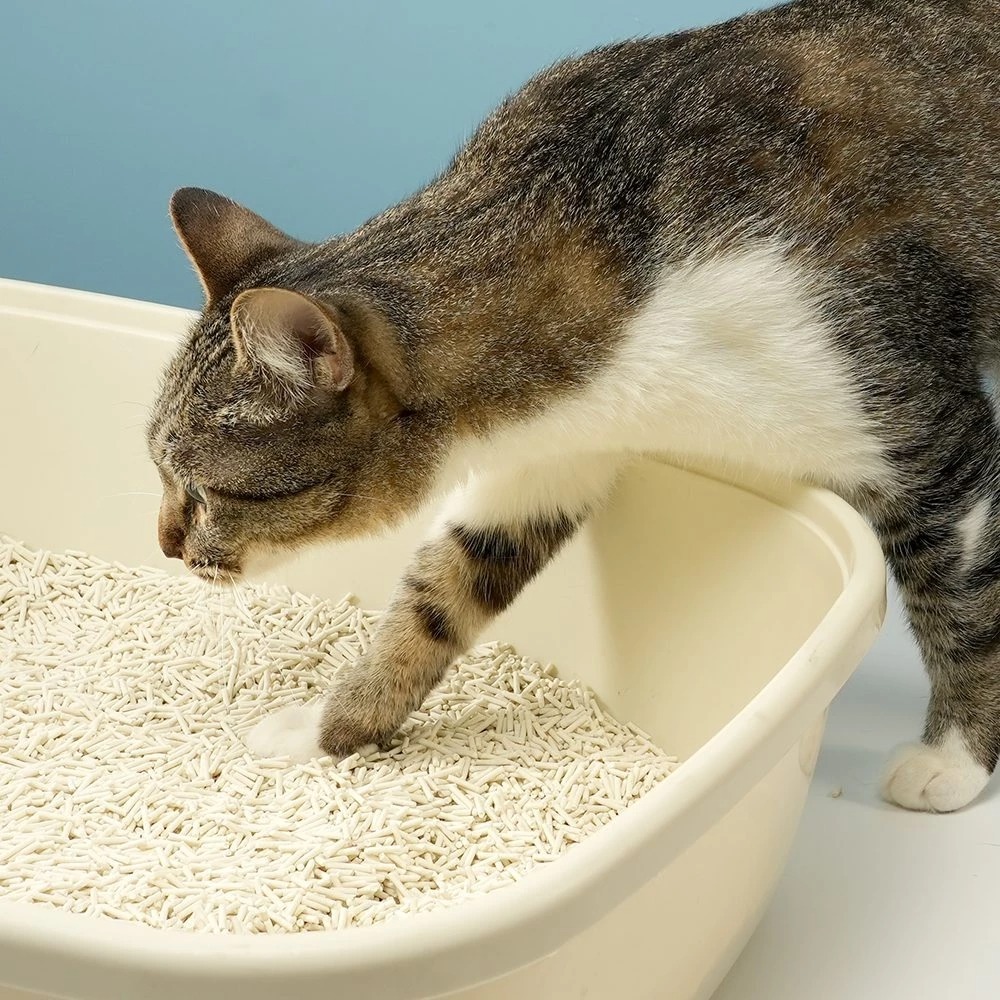 汪喵星球 – 泌尿健康檢測隱血顆粒 12g/包