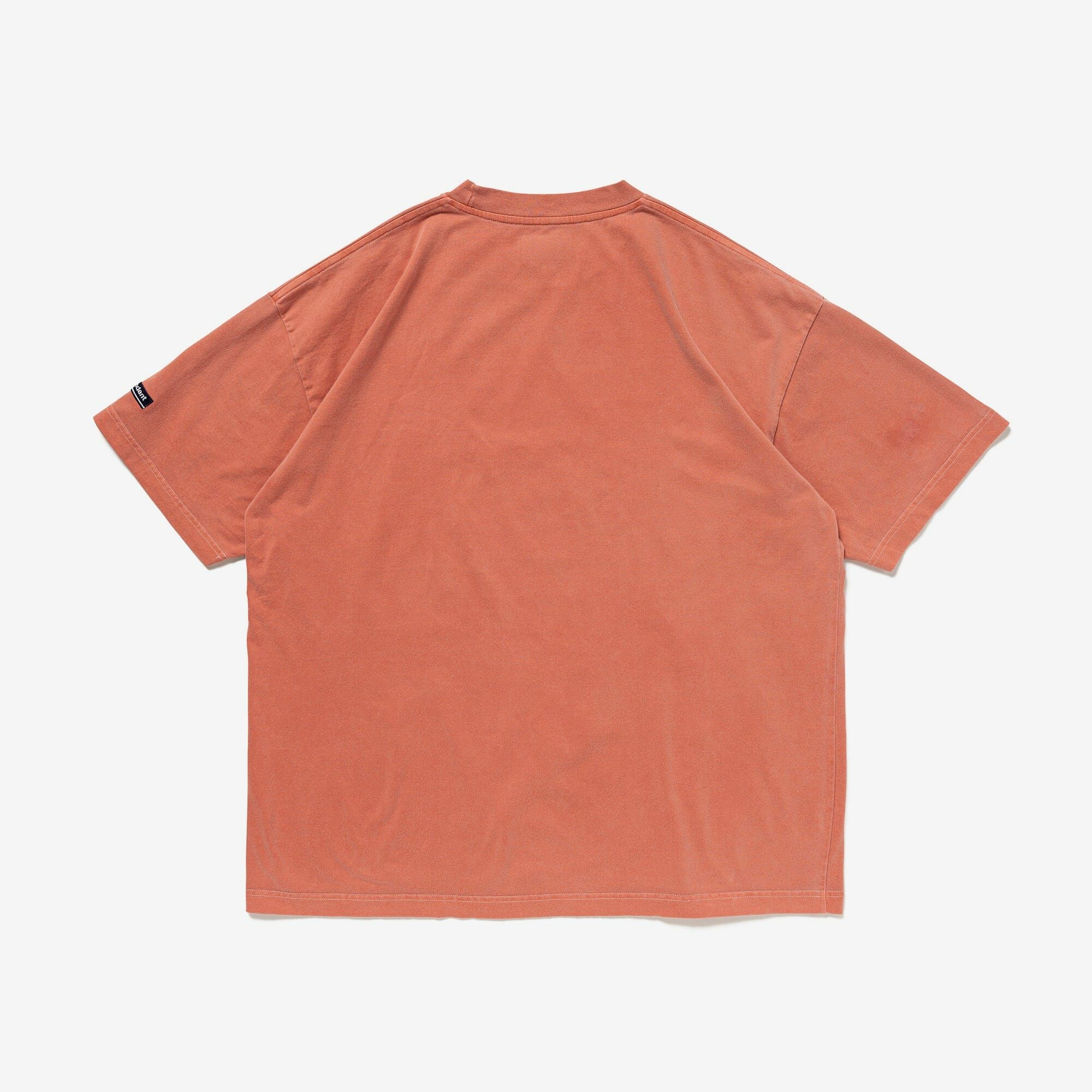 【DESCENDANT】HORIZON LS PIGMENT DYE DESCENDANT/HORIZON LS PIGMENT DYE (GREEN)