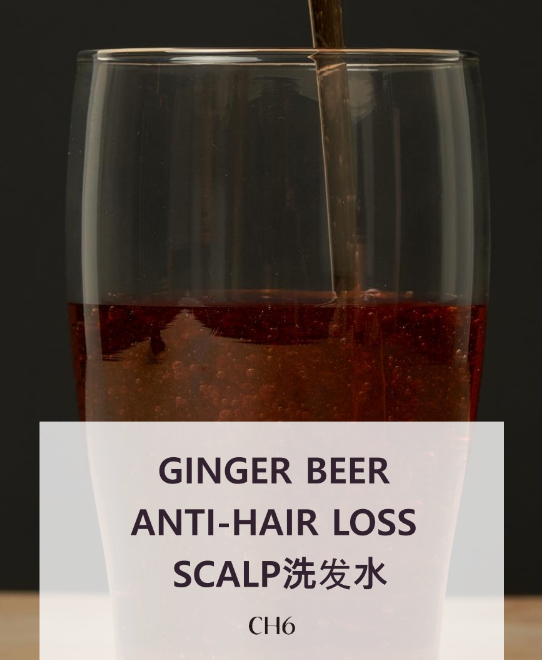 CH6 薑汁啤酒防脫髮頭皮洗髮精 500ml