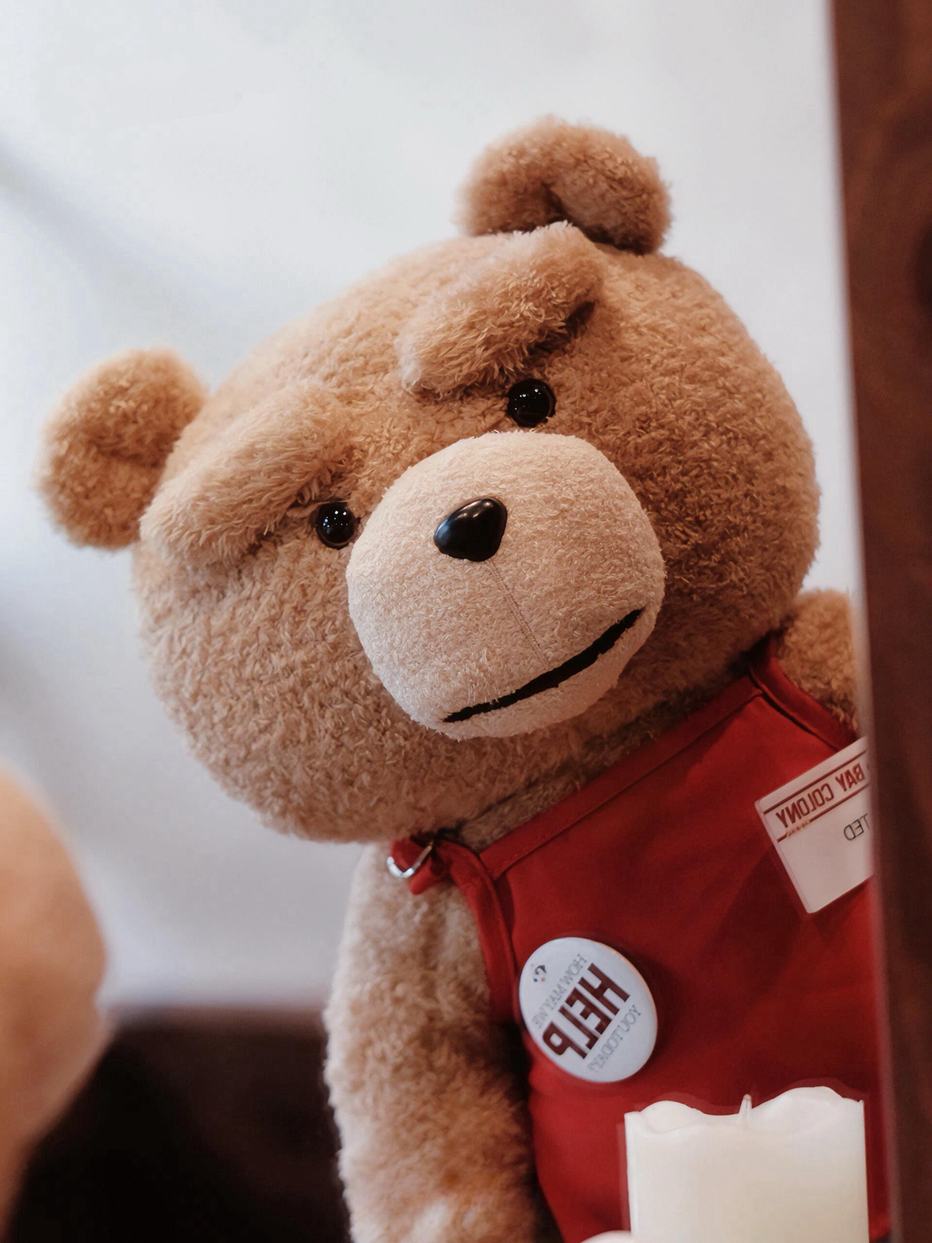 POPMART x 熊麻吉 Ted可動公仔 泰迪熊 毛絨公仔 可換衣服 公仔 擺飾/預購