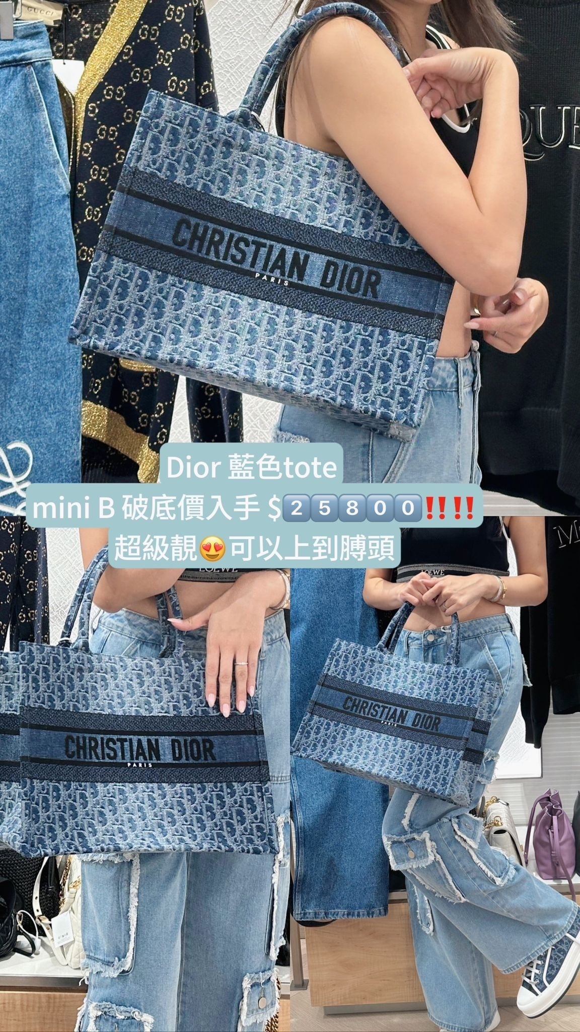 Dior 藍色托特包 -M