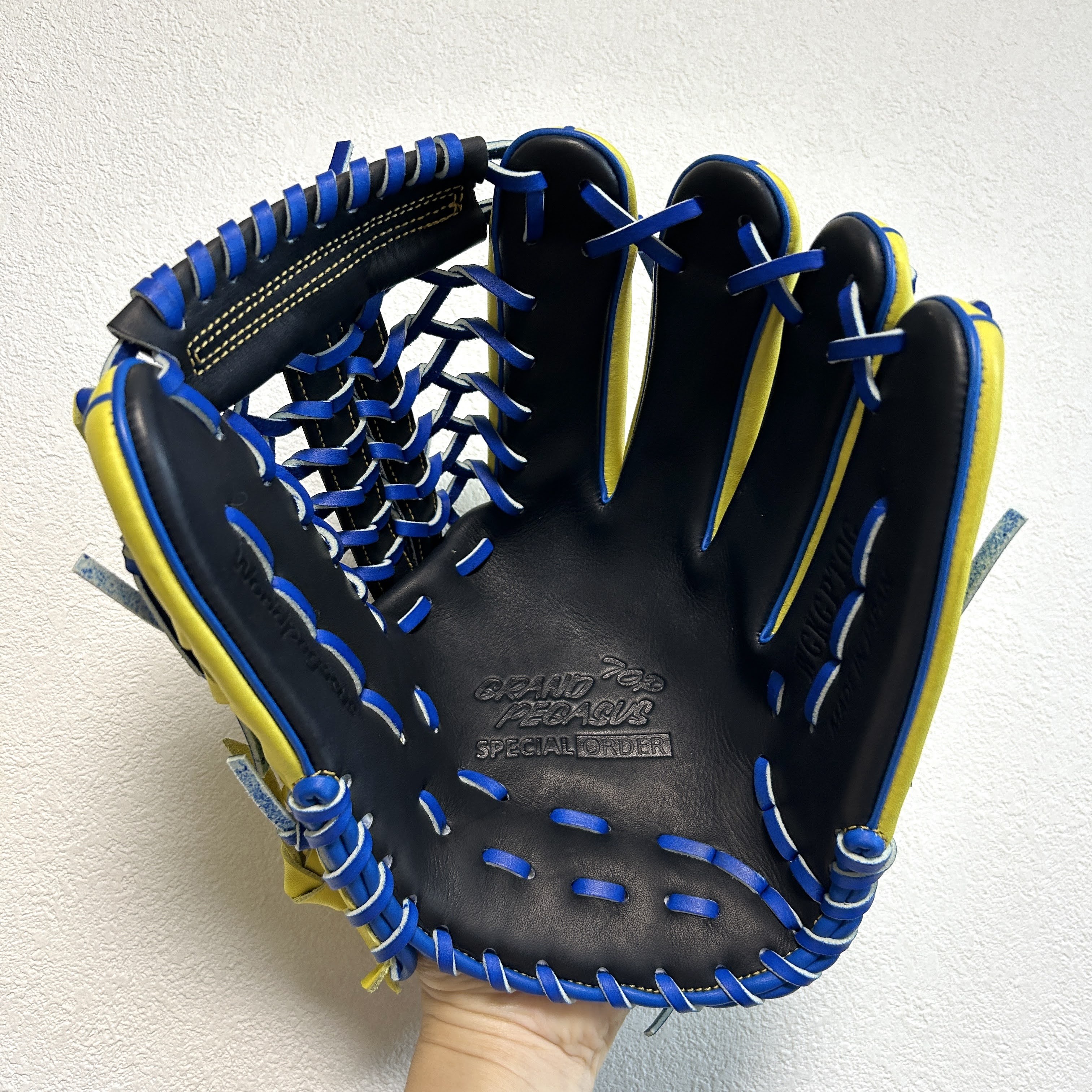 【照片分享】WorldPegasus 獨角獸 硬式内野 WGKGPTOG