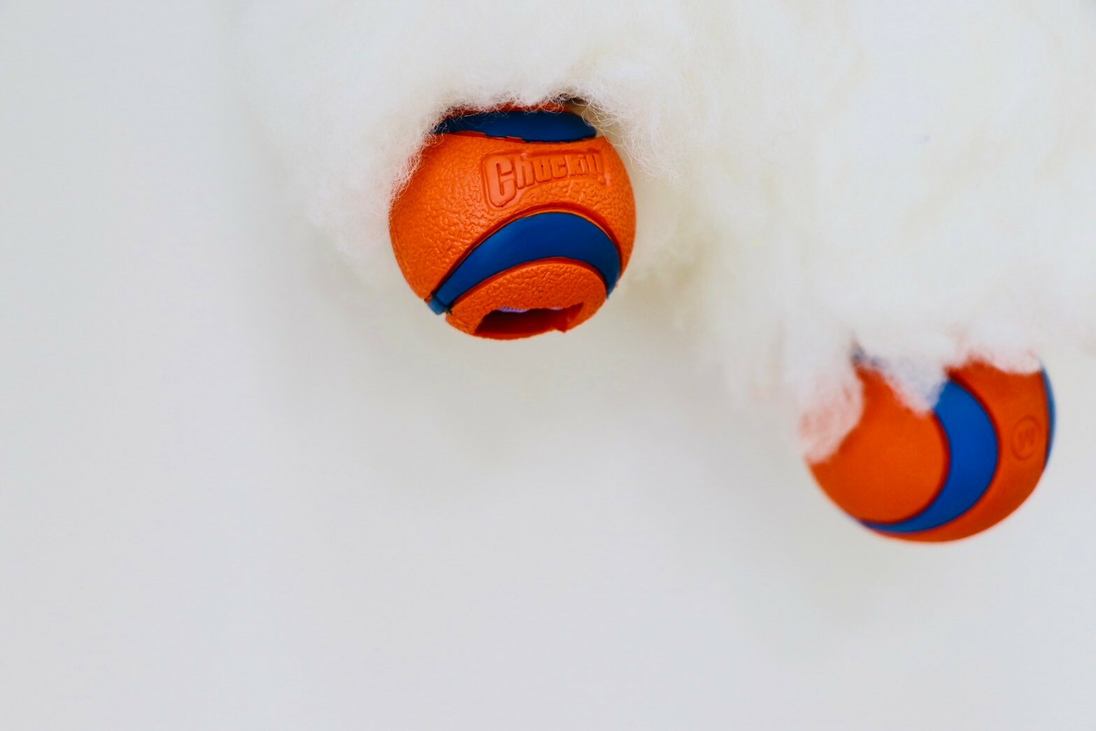 Zayma｜手工羊毛繩 + Chuckit! Ultra球（適合中小型犬）