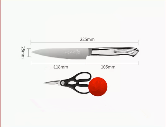 Hotly recommended all-steel small fruit knife (fruit knife + scissors) (specification: 22.5*11.8*2.5CM)