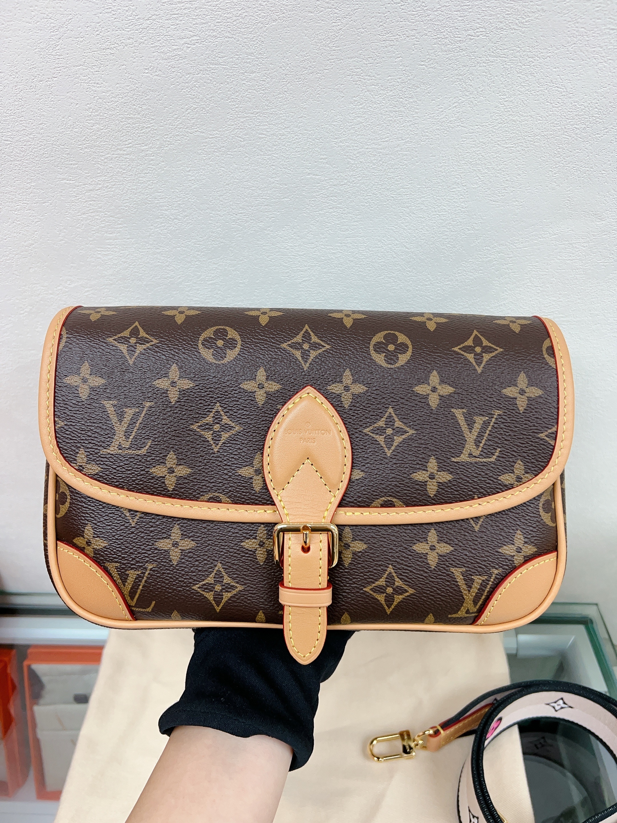 Lv diane bag (brown monogram)