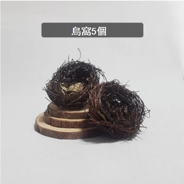 新款創意料理鐵盒擺盤盤子（鳥窩5個）