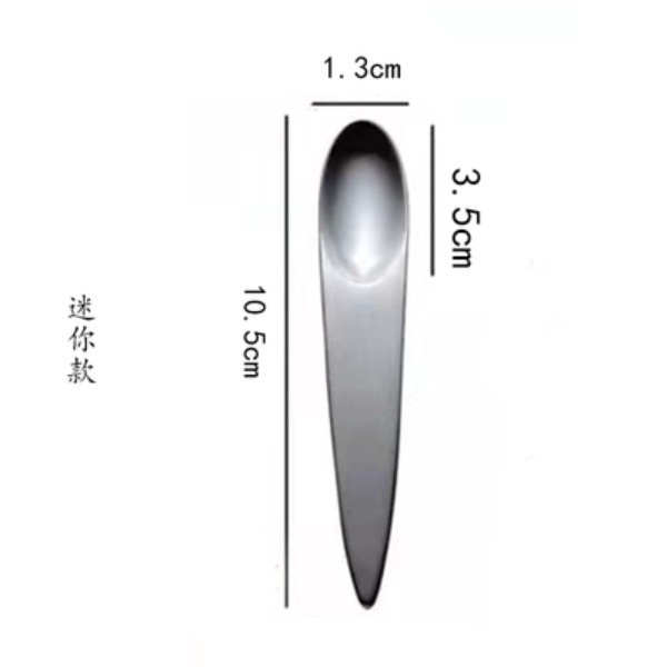 New French cuisine dessert spoon-shaped dinner plate (mini version)