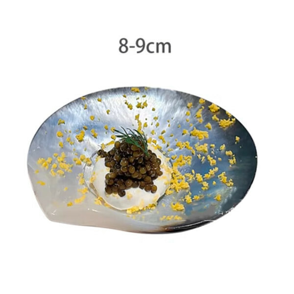 熱推創意貝殼魚子醬點心碟甜品盤碟（中號8-9cm）