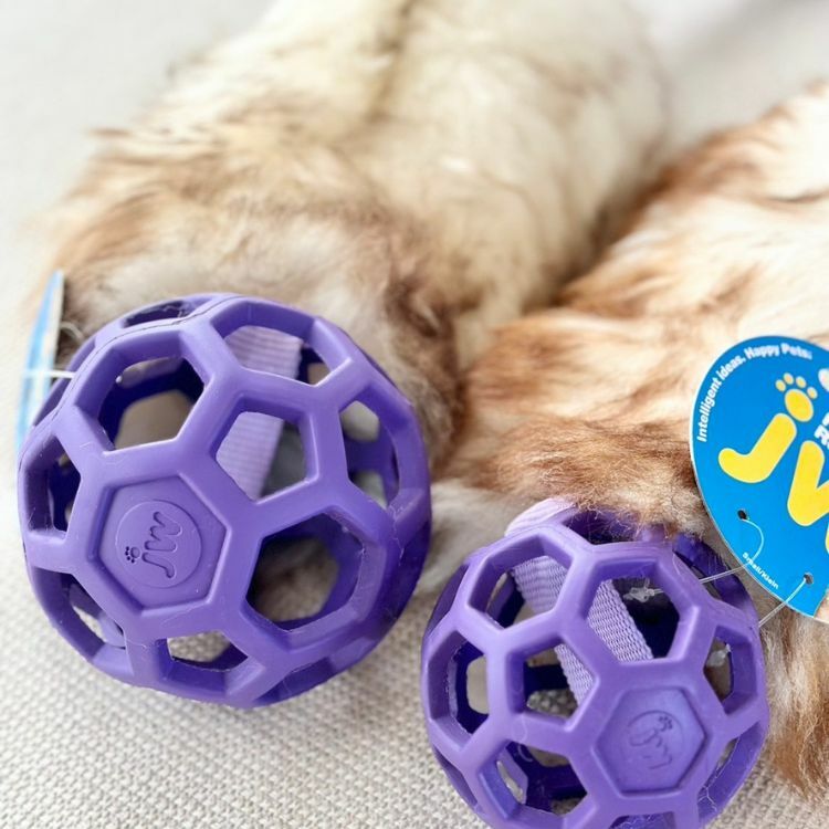 Zayma｜手工羊毛蹦極拉扯繩 + JW Hol-EE球（適合所有犬型）