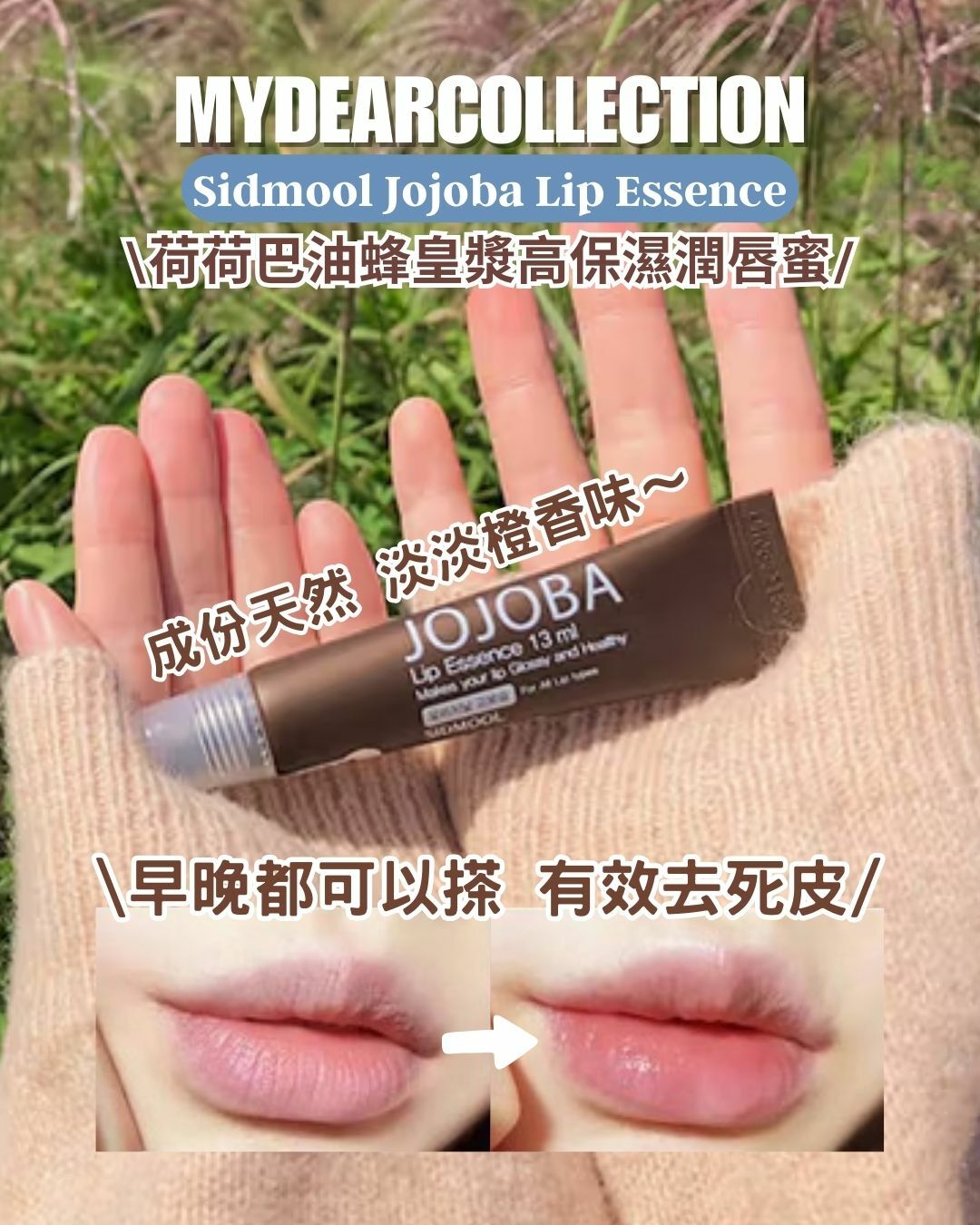 現 貨 | Sidmool 荷荷巴油蜂皇漿高保濕潤唇蜜