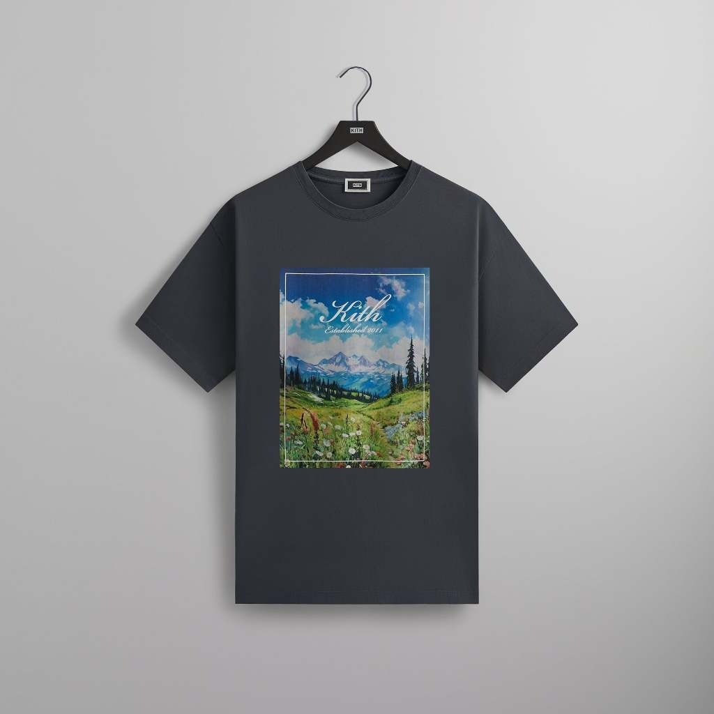 2024SS Kith Landscape Vintage Tee 復古 風景 景觀 短T 現貨 KHM032329