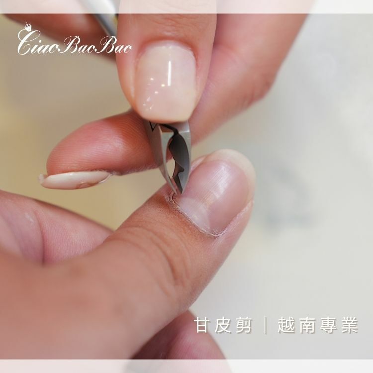 甘皮剪｜越南專業