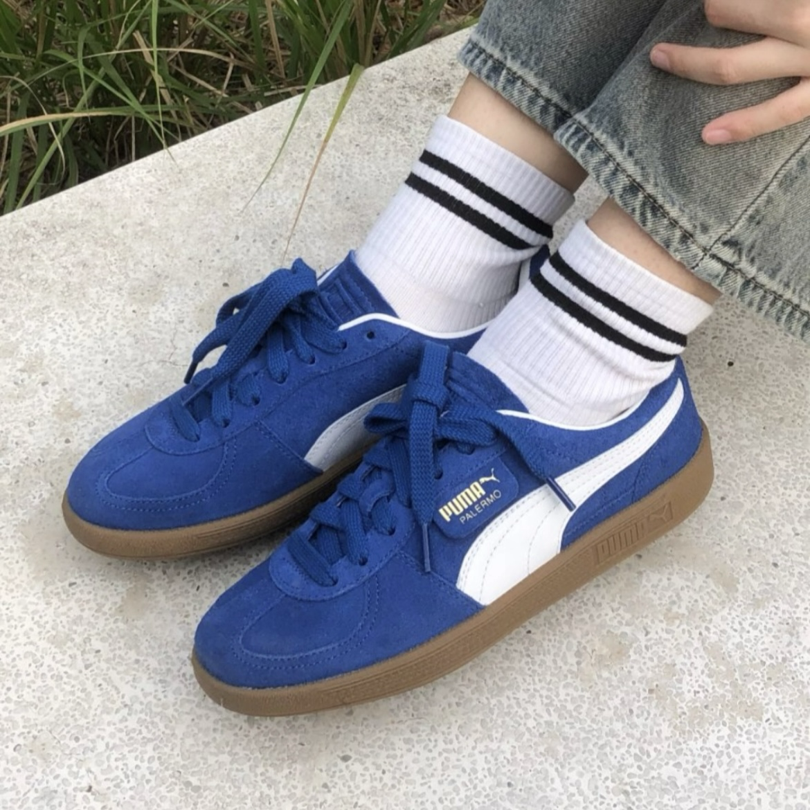 Puma Palermo Cobalt Glaze White 克萊因藍 焦糖底 Rosé同款 麂皮 外縫線 低筒 復古德訓鞋 39646307