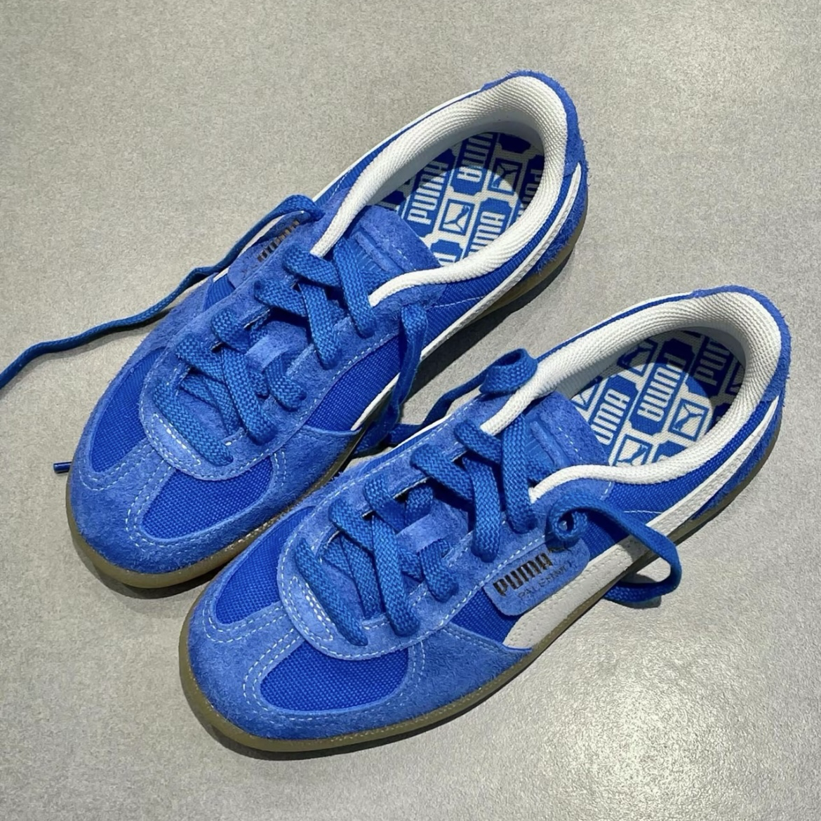 Puma Palermo Cobalt Glaze White 克萊因藍 焦糖底 Rosé同款 麂皮 外縫線 低筒 復古德訓鞋 39646307