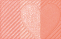 INTEGRATE Cheek Stylist