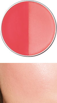 INTEGRATE Melty Mode Cheek