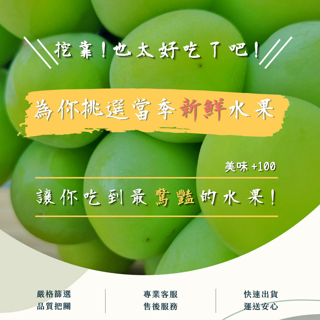 日本岡山晴王麝香葡萄