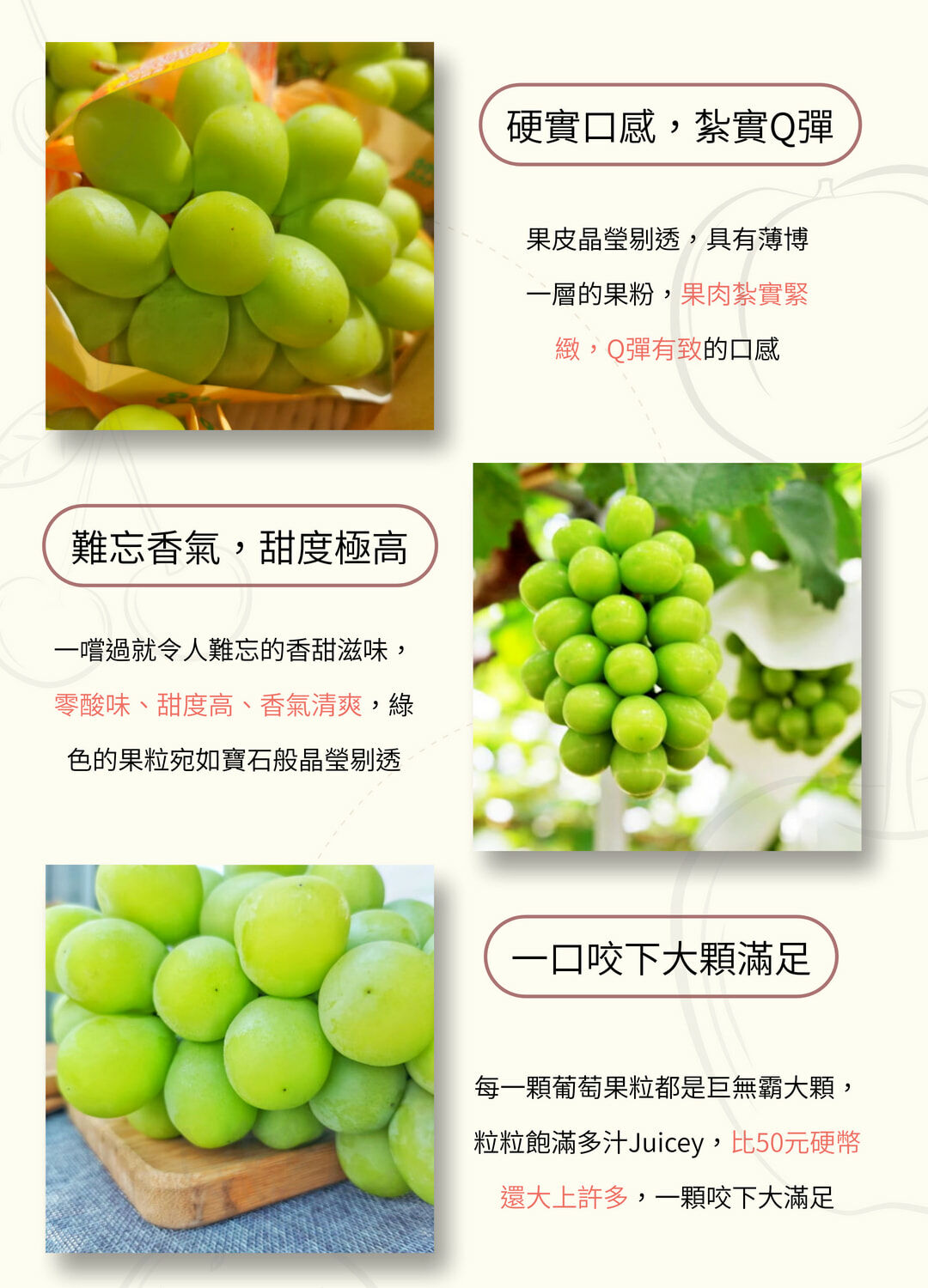 日本岡山晴王麝香葡萄