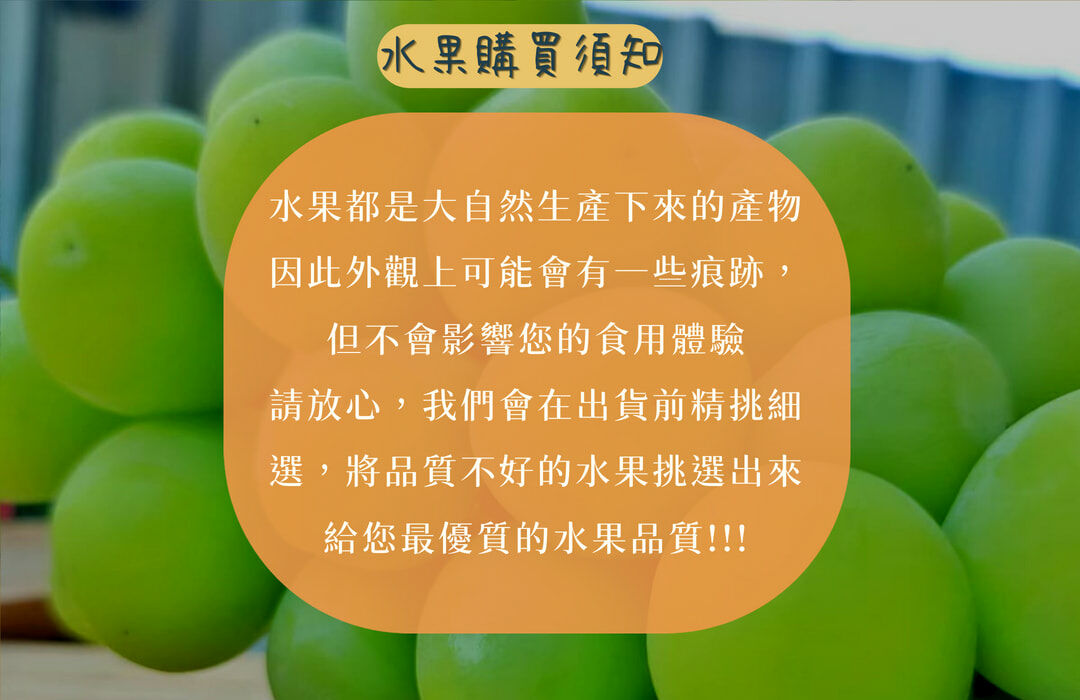 日本岡山晴王麝香葡萄